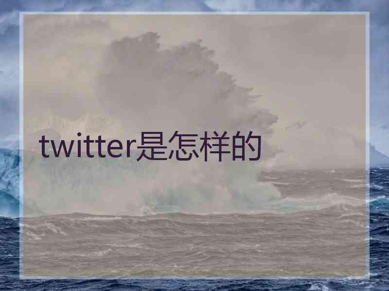 twitter是怎样的