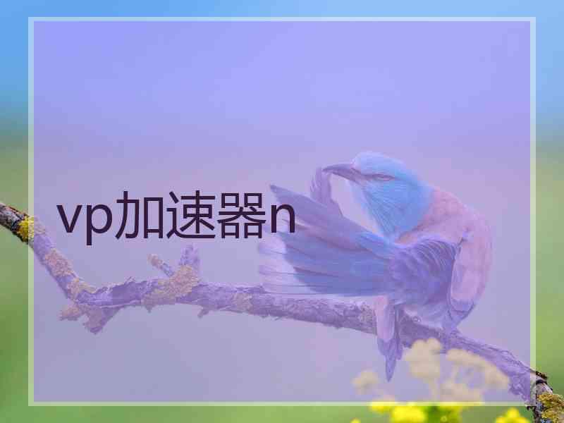 vp加速器n