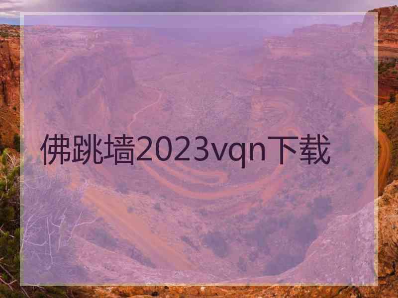 佛跳墙2023vqn下载