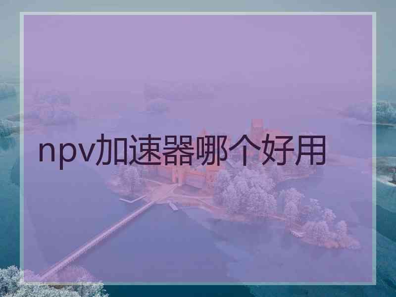 npv加速器哪个好用