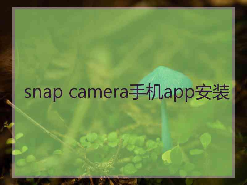 snap camera手机app安装