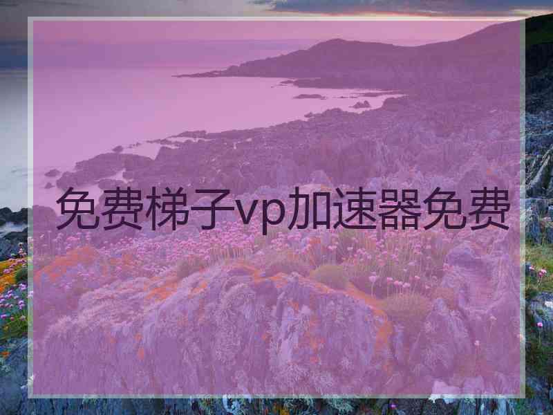 免费梯子vp加速器免费