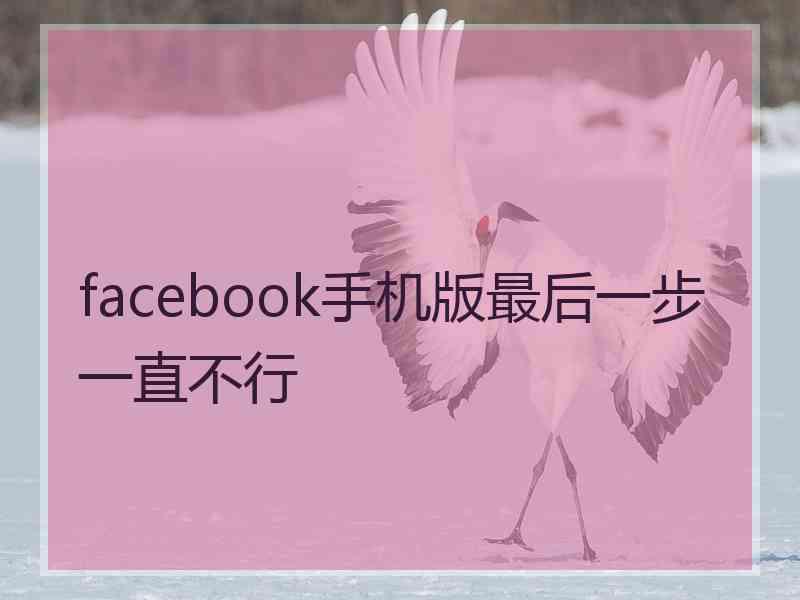 facebook手机版最后一步一直不行