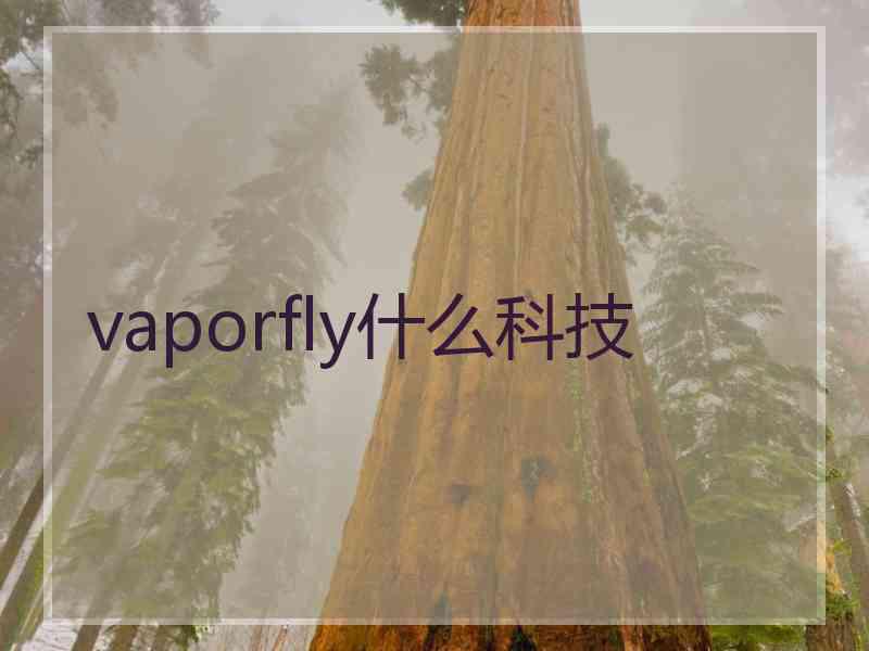 vaporfly什么科技