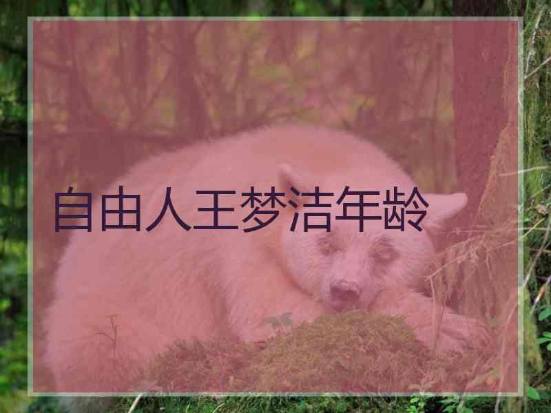 自由人王梦洁年龄