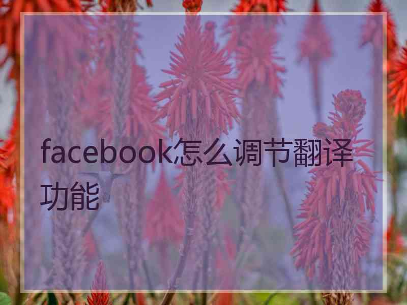 facebook怎么调节翻译功能