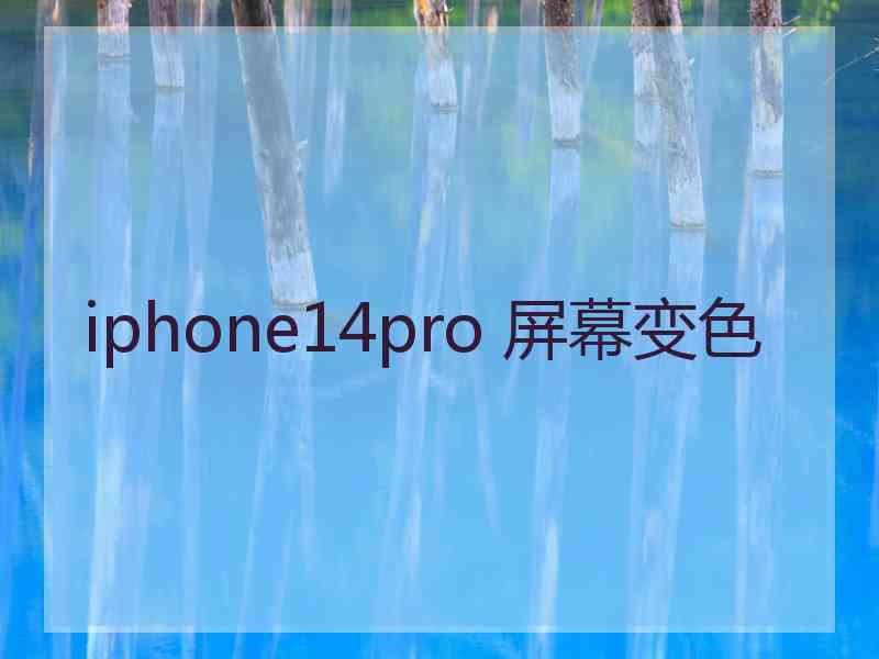 iphone14pro 屏幕变色