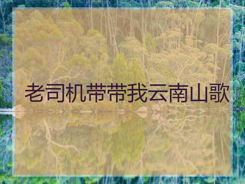 老司机带带我云南山歌