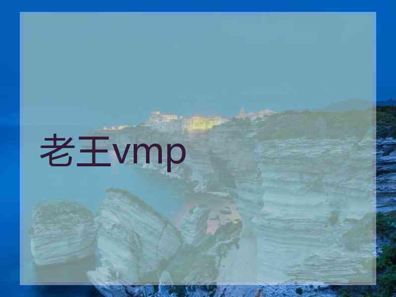 老王vmp