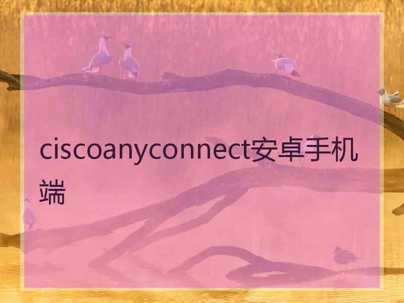 ciscoanyconnect安卓手机端