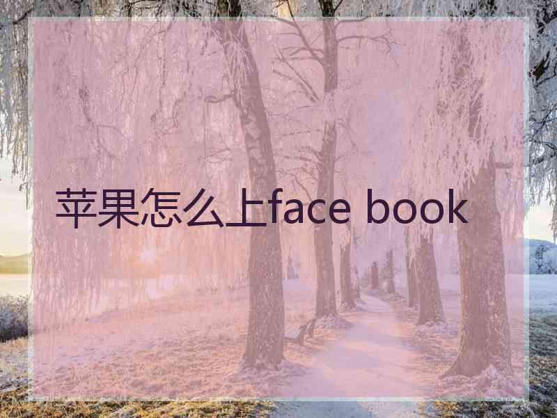 苹果怎么上face book