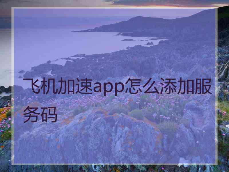 飞机加速app怎么添加服务码