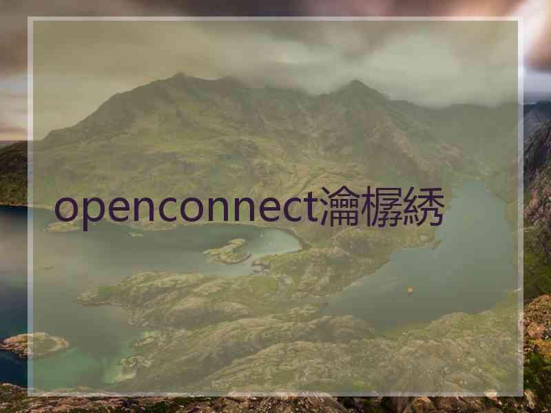 openconnect瀹樼綉