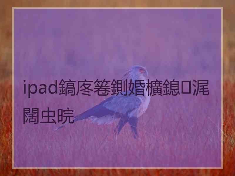 ipad鎬庝箞鍘婚櫎鎴浘闊虫晥