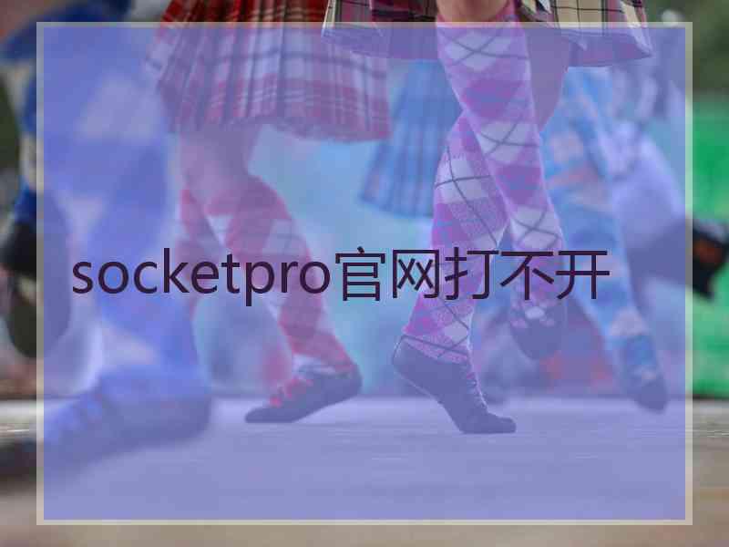 socketpro官网打不开