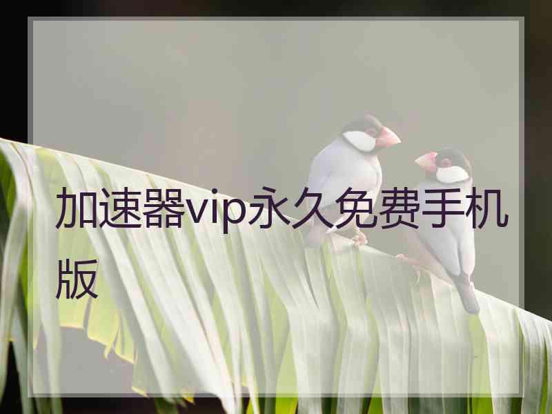 加速器vip永久免费手机版