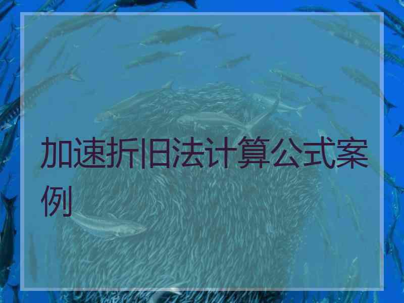 加速折旧法计算公式案例