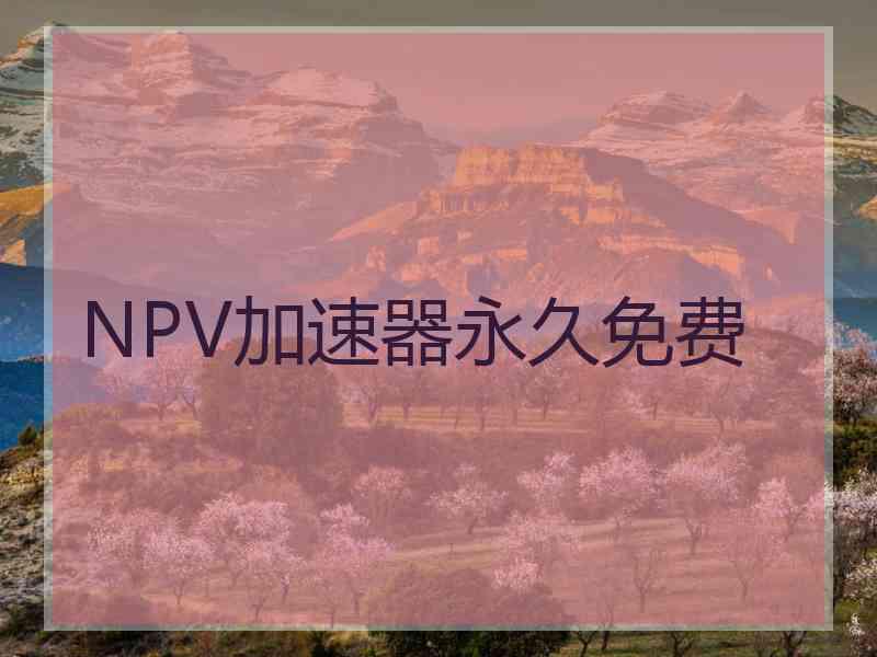 NPV加速器永久免费