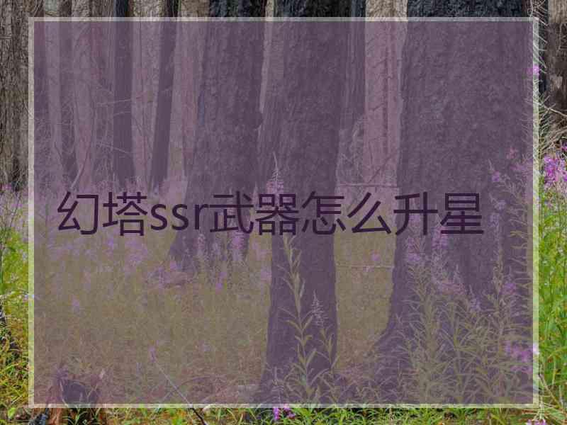 幻塔ssr武器怎么升星