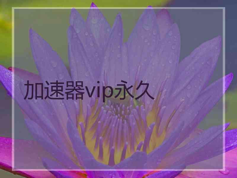 加速器vip永久