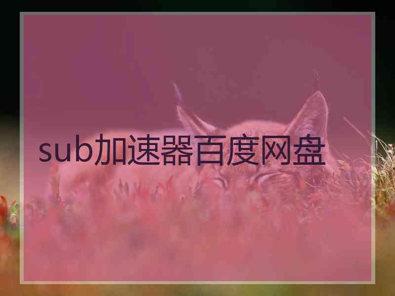 sub加速器百度网盘