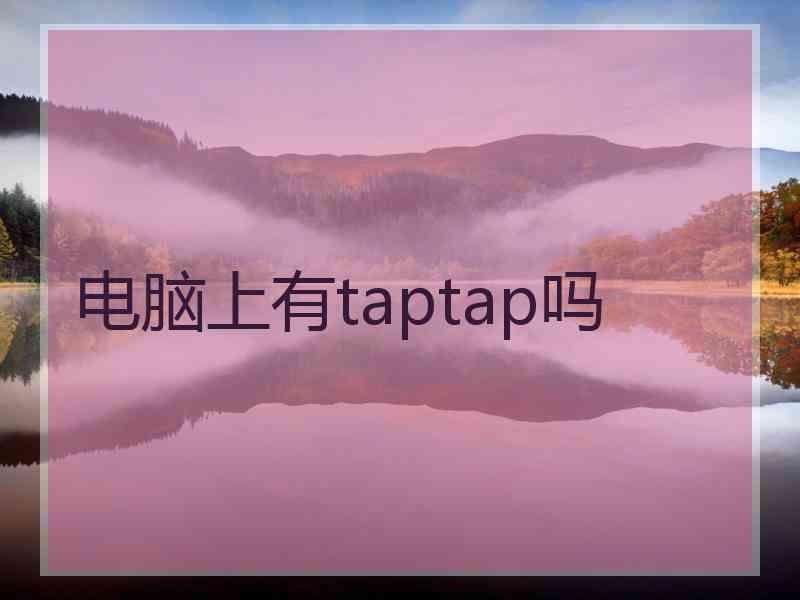 电脑上有taptap吗