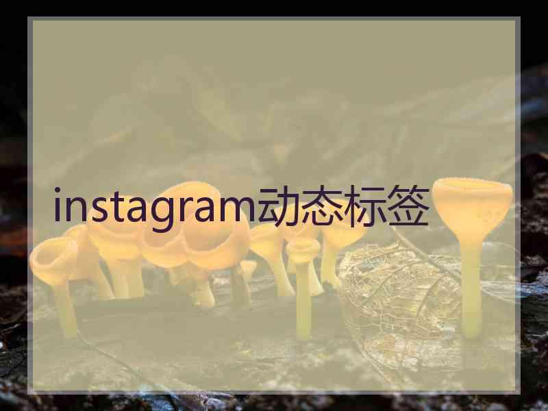 instagram动态标签