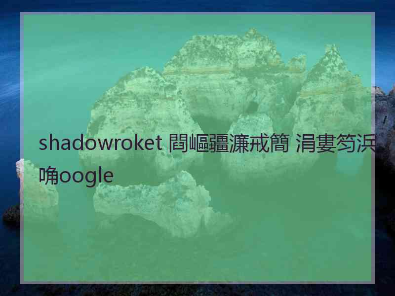 shadowroket 閰嶇疆濂戒簡 涓婁笉浜唃oogle