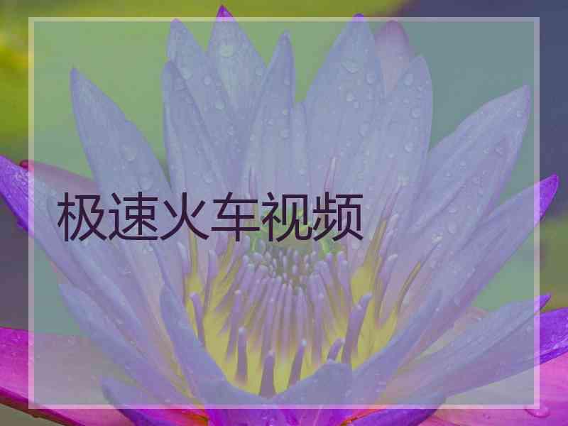 极速火车视频