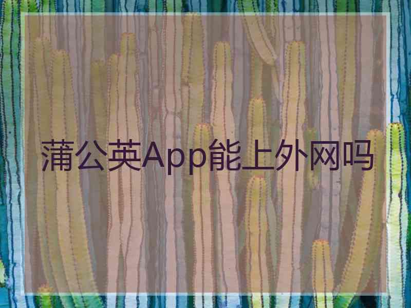 蒲公英App能上外网吗