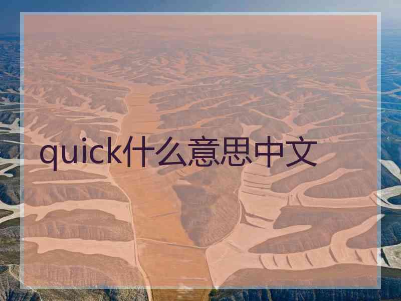 quick什么意思中文