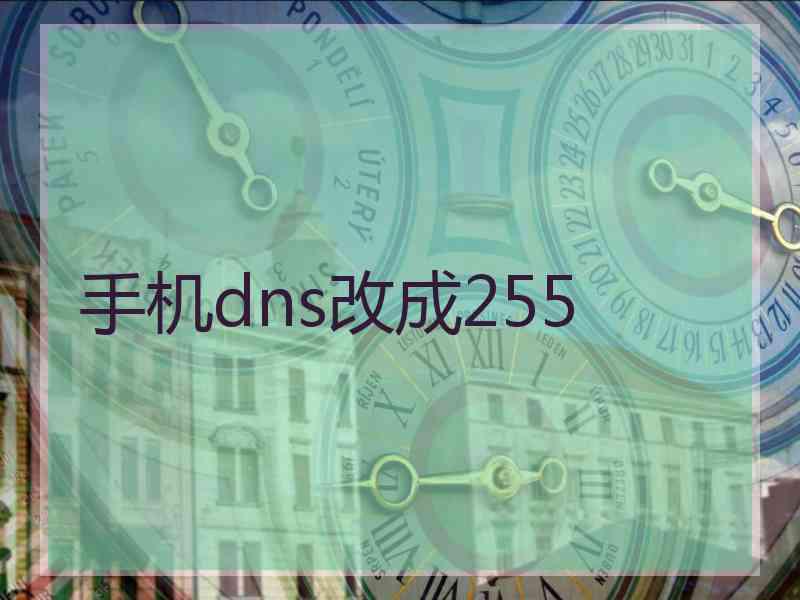 手机dns改成255