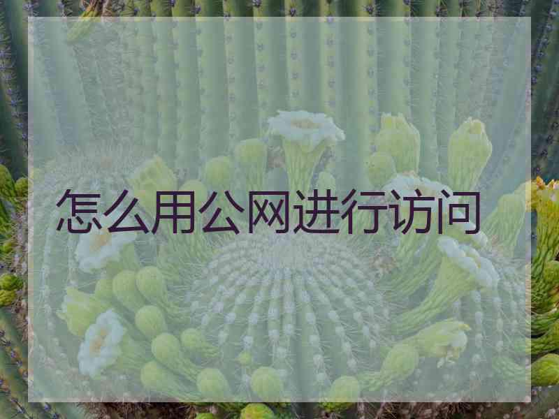 怎么用公网进行访问