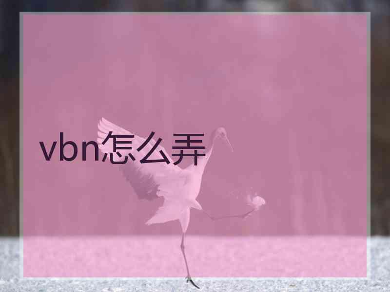 vbn怎么弄