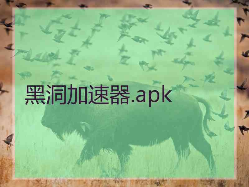 黑洞加速器.apk