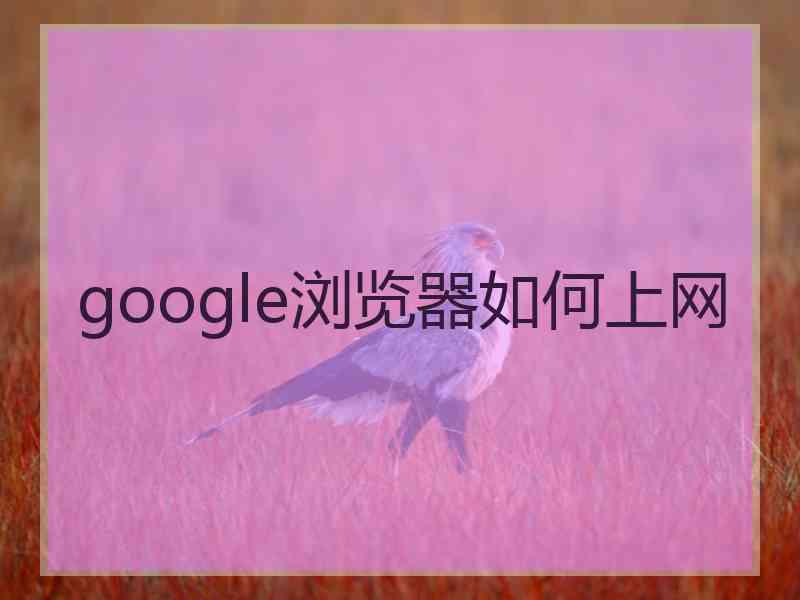 google浏览器如何上网