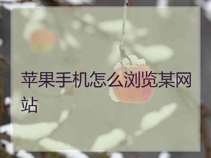 苹果手机怎么浏览某网站