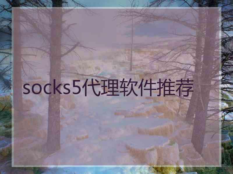 socks5代理软件推荐