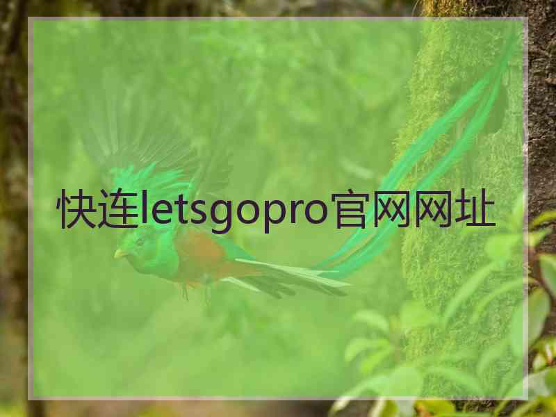 快连letsgopro官网网址