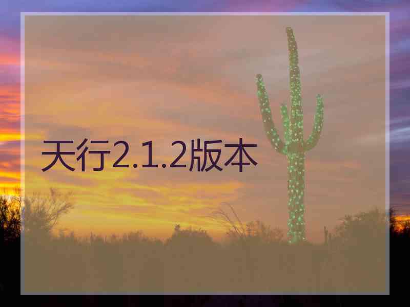 天行2.1.2版本