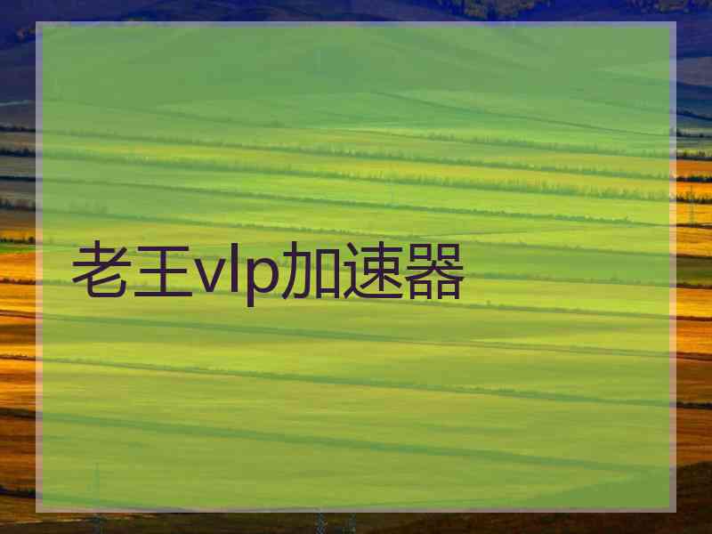 老王vlp加速器