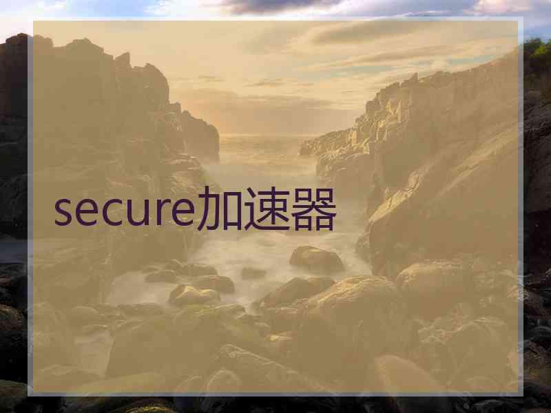 secure加速器