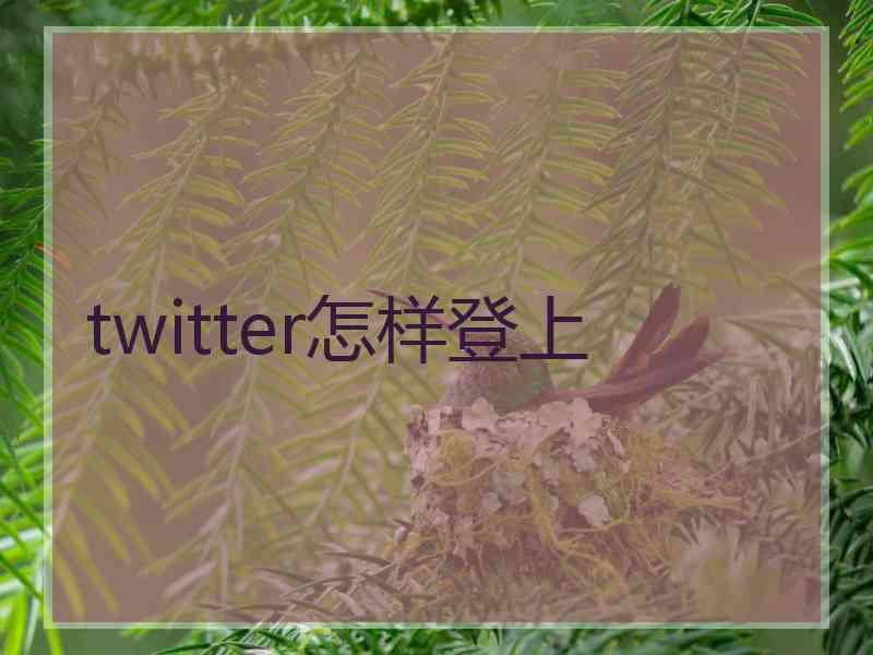 twitter怎样登上