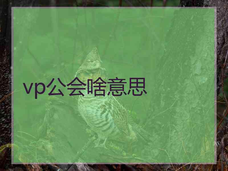 vp公会啥意思