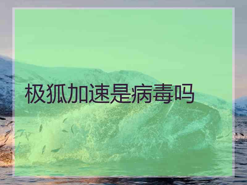 极狐加速是病毒吗