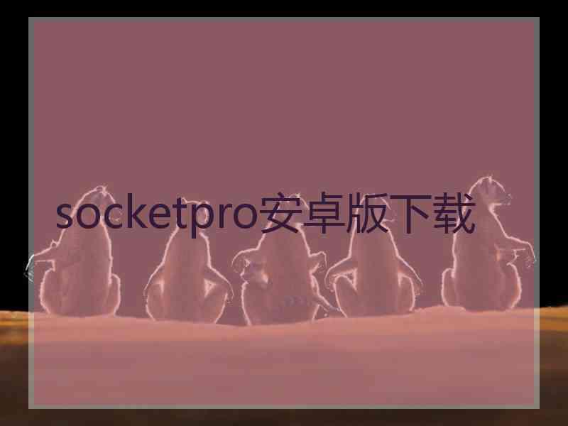 socketpro安卓版下载