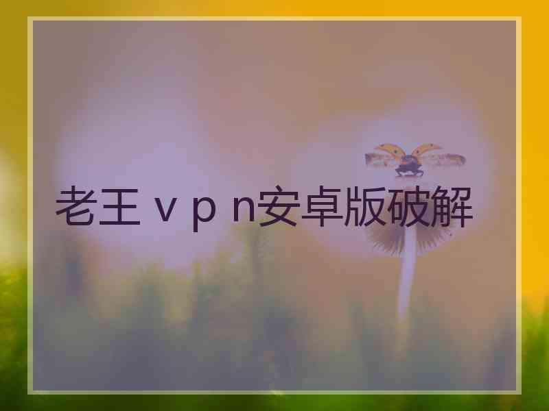 老王 v p n安卓版破解