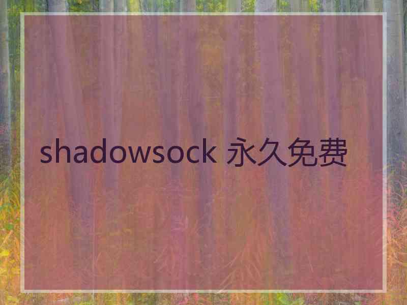 shadowsock 永久免费