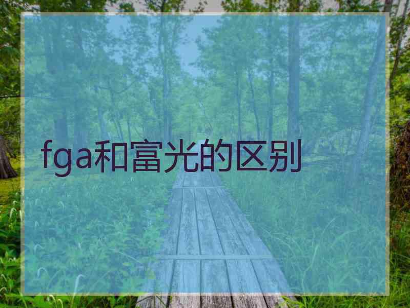 fga和富光的区别