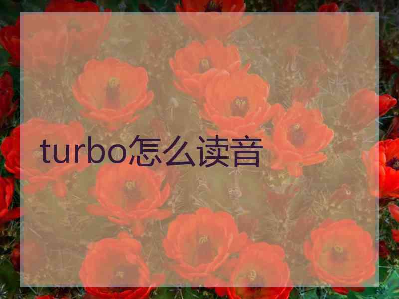 turbo怎么读音